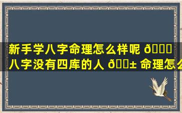 新手学八字命理怎么样呢 🐎 （八字没有四库的人 🐱 命理怎么样）